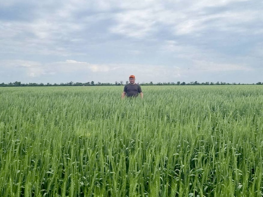 Πώς να προσελκύσετε γρήγορα και εύκολα κεφάλαια για τη σπορά: εμπειρία αγρότη από την περιοχή του Μικολάιβ