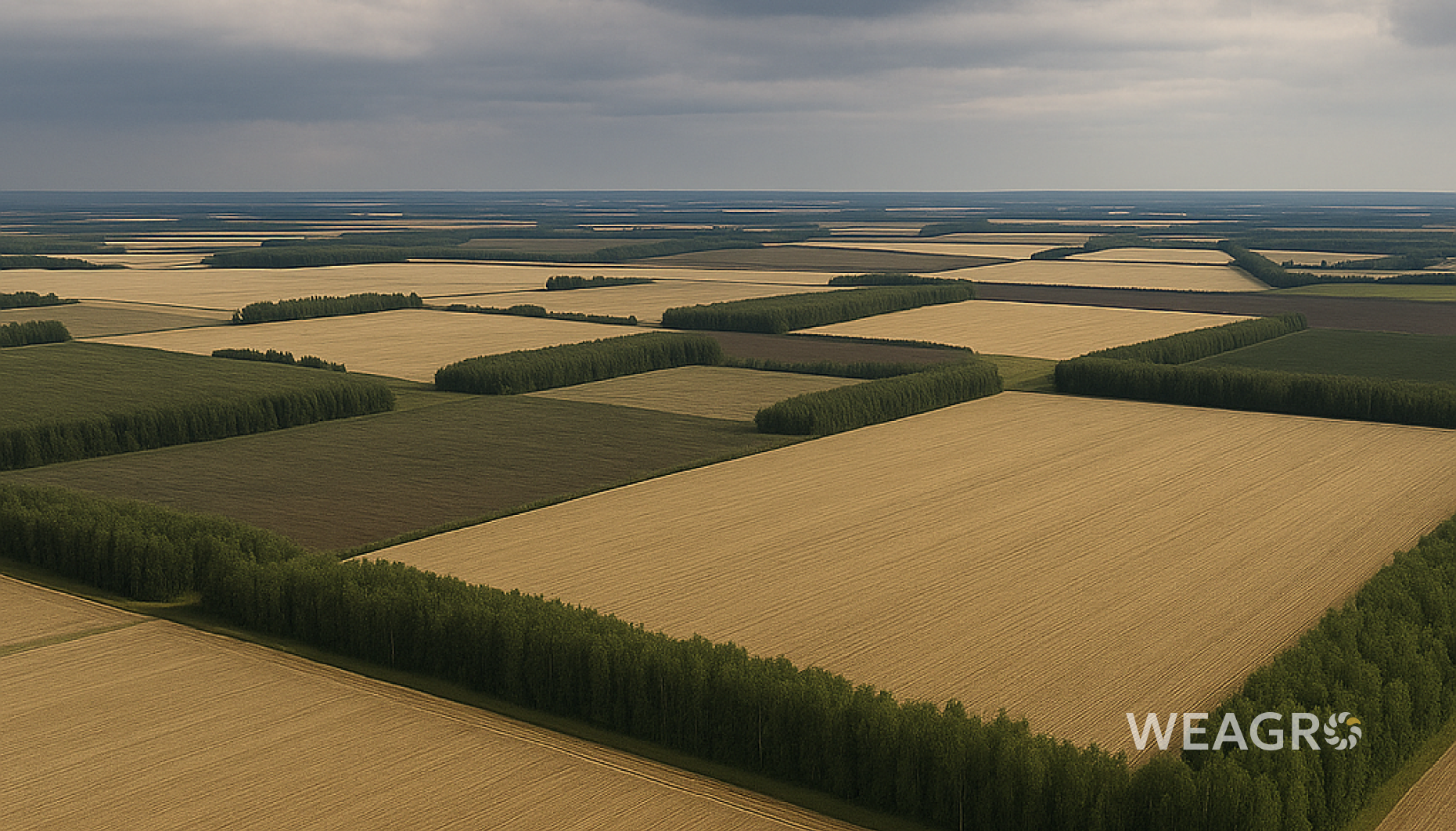 Αγροδασοπονία για αγρότες: τι είναι, πλεονεκτήματα και προοπτικές