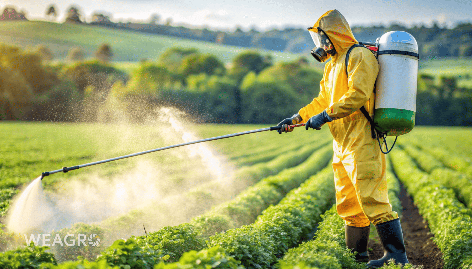 Γιατί δεν πρέπει να αναβάλλετε την αγορά φυτοπροστατευτικών προϊόντων μέχρι την άνοιξη: οικονομική τεκμηρίωση για τον αγροτικό τομέα κατά την ενδιάμεση περίοδο