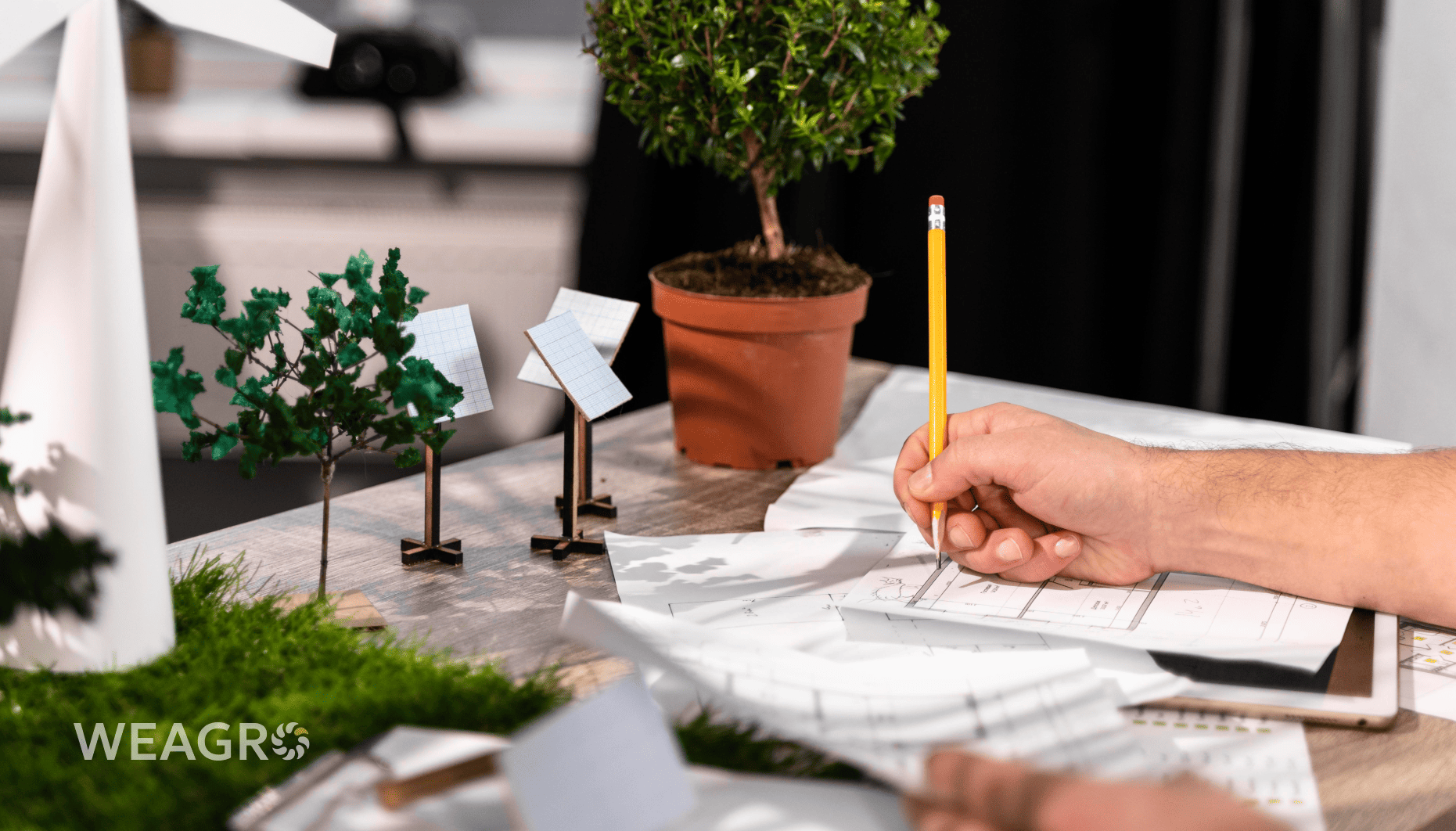 Financial Planning for Agribusiness in 2026: how not to Lose in Instability