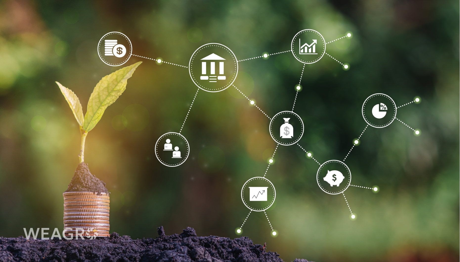 Embedded Finance — a New Stage in Micro and Small Business Financing Development