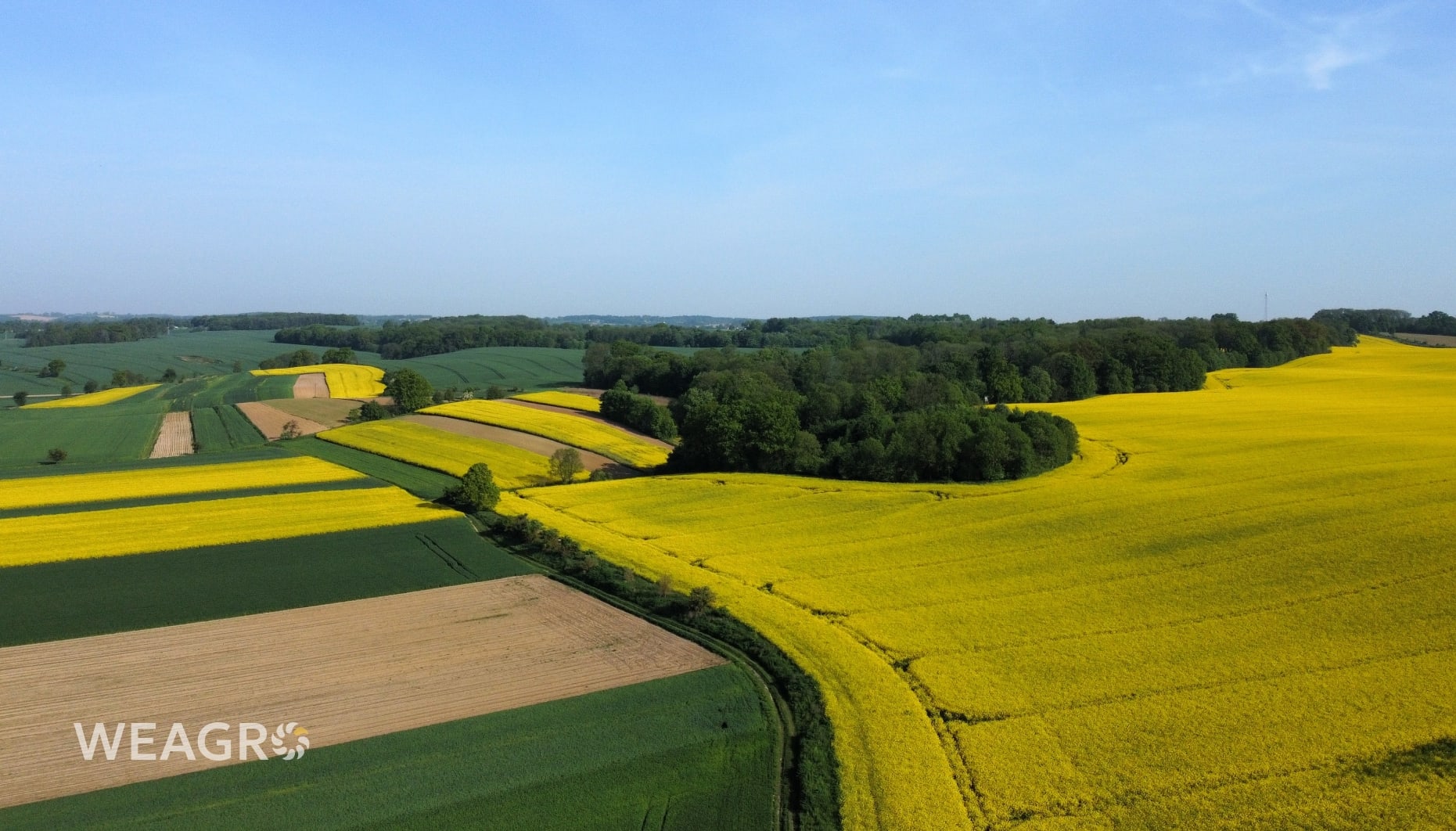 Η εξαγορά γης ως επενδυτική στρατηγική: γιατί οι αγροτικές εκμεταλλεύσεις δεν πρέπει να τη χρηματοδοτούν από το λειτουργικό εισόδημα