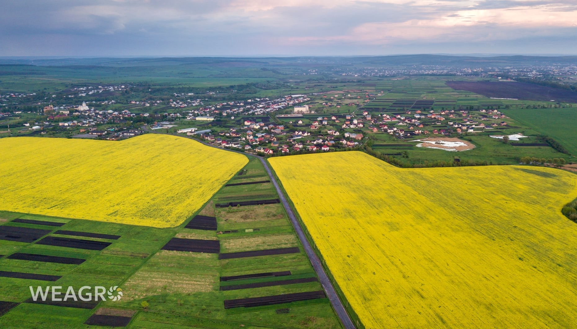 Πώς να διατηρήσετε την τραπεζική γη μετά το άνοιγμα της αγοράς γης; Τι να κάνει ο αγρότης