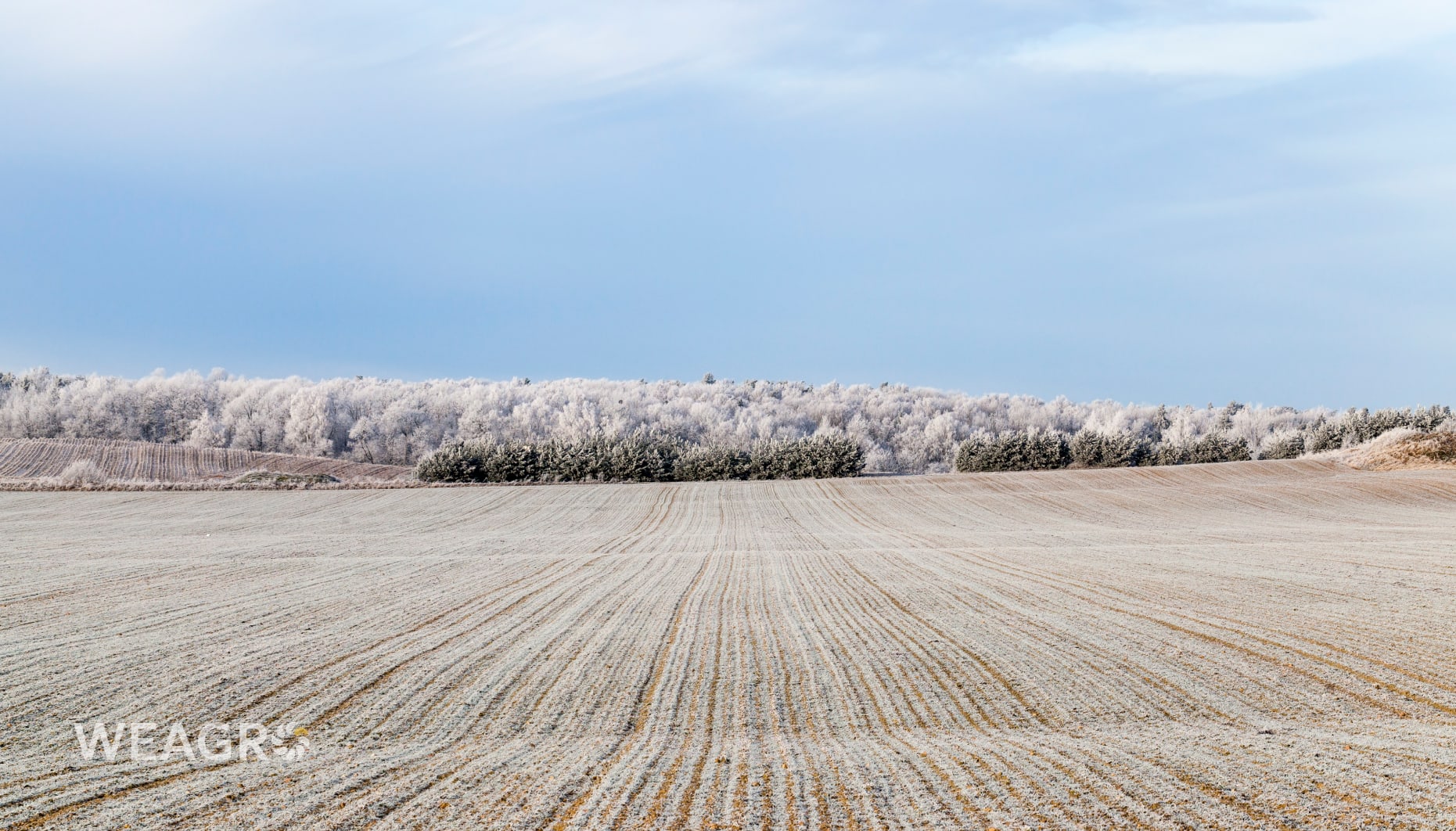 Χρηματοροές αγροτικής επιχείρησης το χειμώνα: πώς να αποφύγετε τα ταμειακά κενά σε περιόδους χαμηλών εσόδων