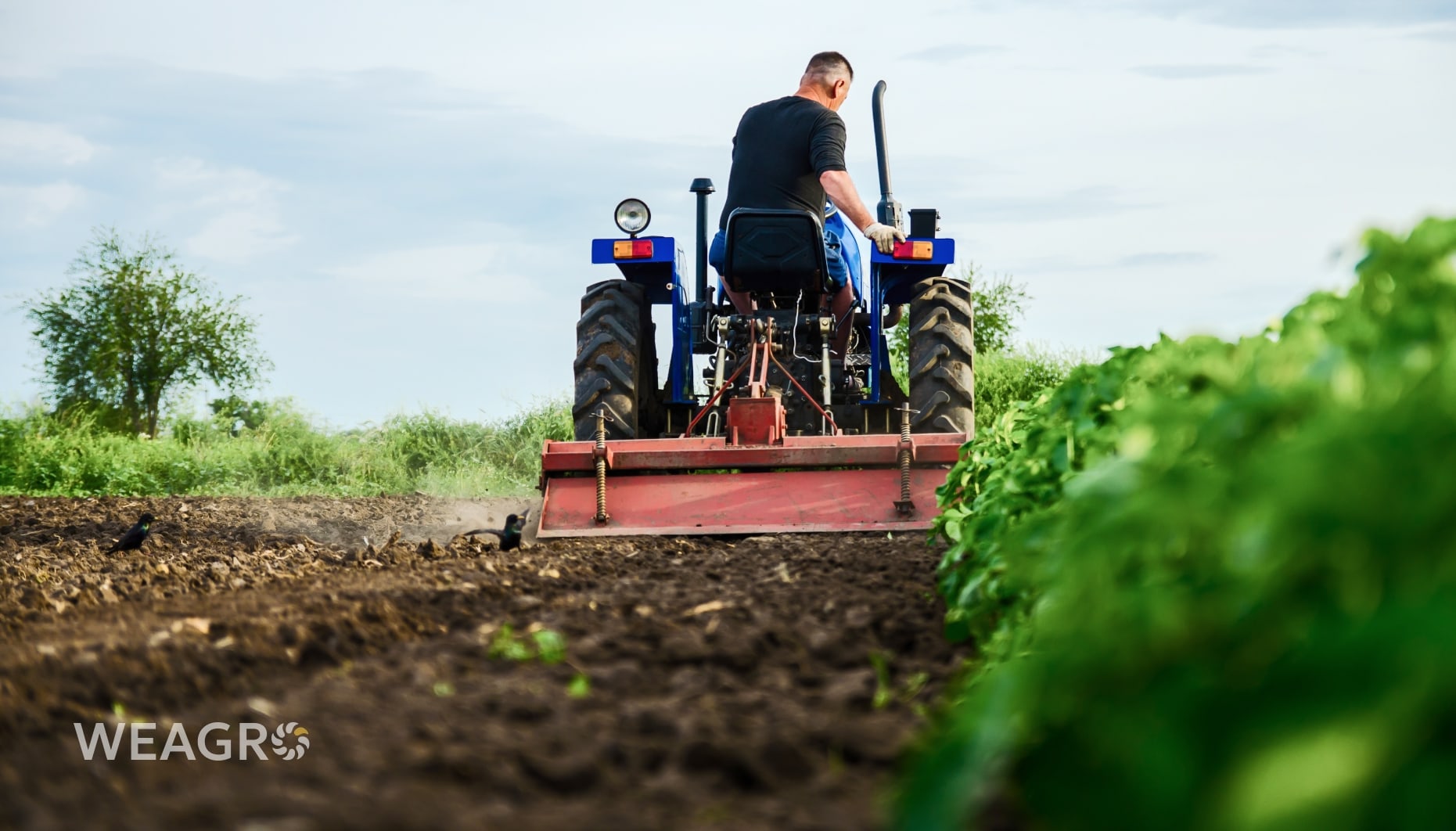 Σχεδιασμός της δομής καλλιεργειών για το 2026 λαμβάνοντας υπόψη το κλίμα, την αγορά και την κερδοφορία