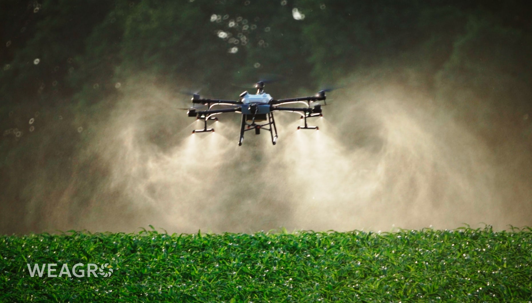 Внесення пестицидів агродронами: технологія, ефективність та практичний досвід застосування