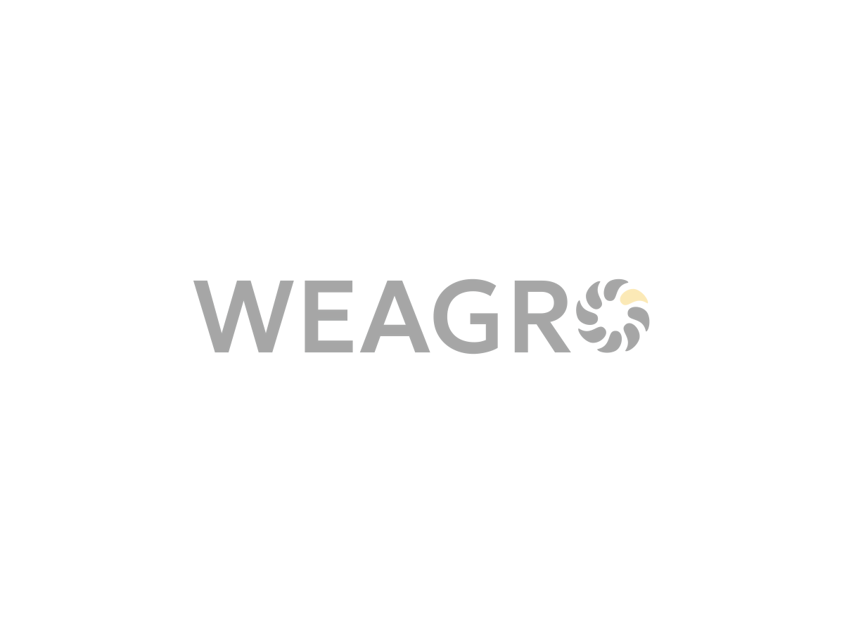 Piraeus Bank and Activitis Create WEAGROBANK — Ukraine’s First Digital Banking Service for Farmers!