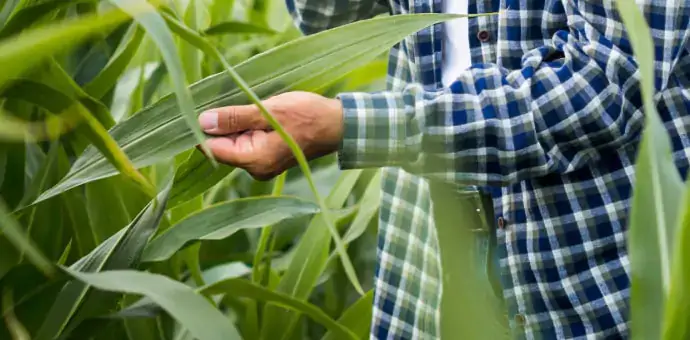 Installment plan processing for farmers