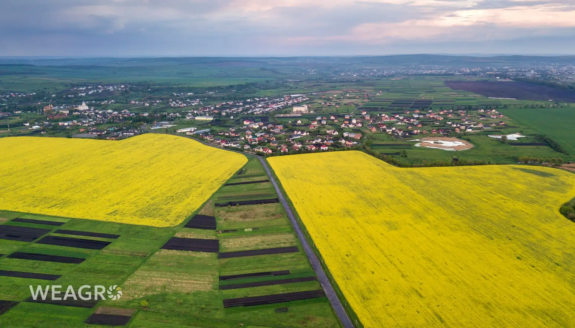 How to preserve the land bank after the land market opening? What should a farmer do