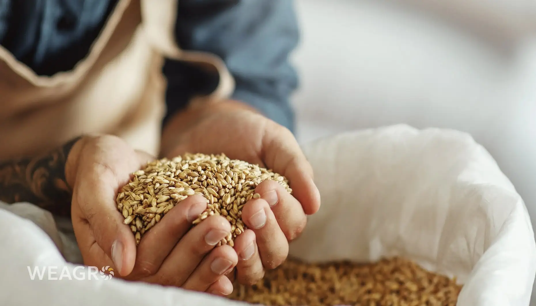 Purchasing Seeds, Crop Protection Products, and Fertilizers in Winter: Economic Benefits of Early Contracts