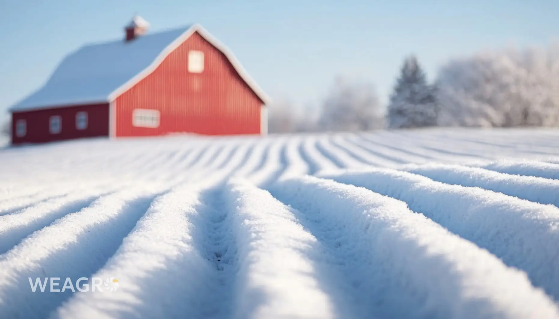 Що робити агробізнесу взимку, якщо всі ключові рішення вже ніби прийняті