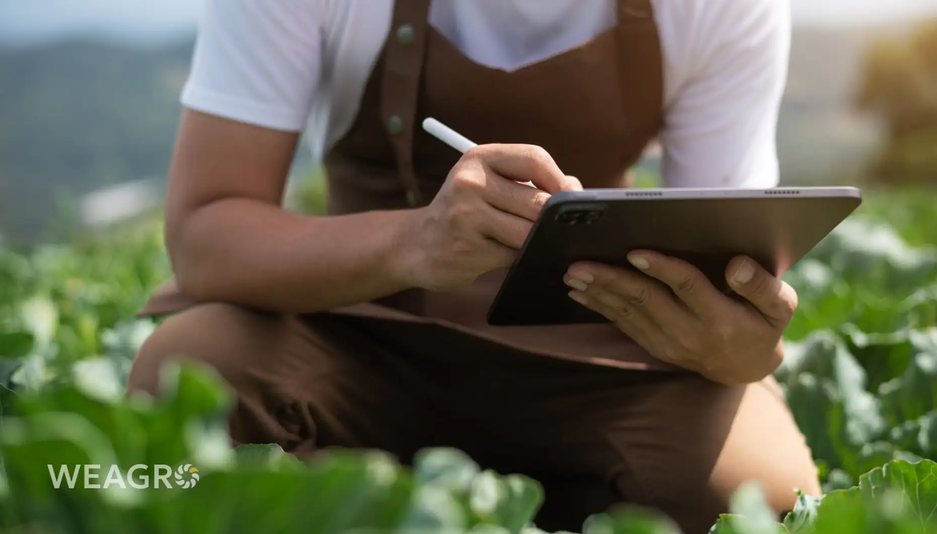 Як агробізнесу планувати витрати, якщо ціни на ресурси змінюються щомісяця