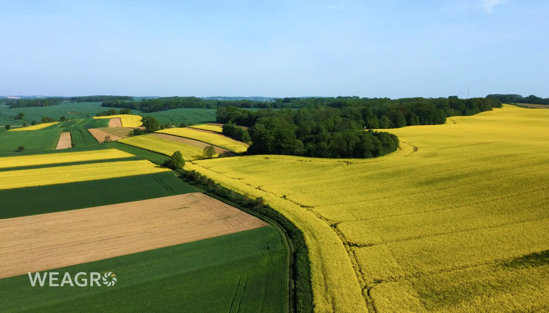 Земельний банк фермера: як вибудувати стратегію викупу паїв без втрати ліквідності