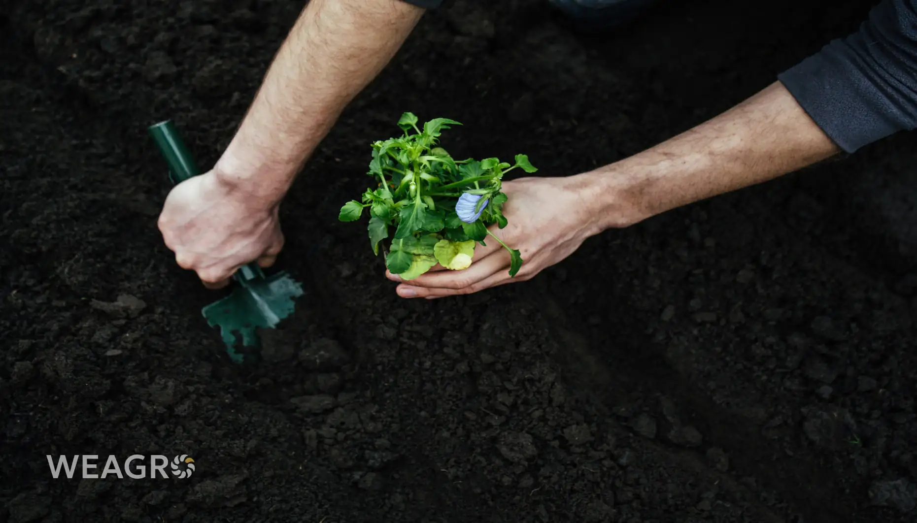 Витрати на посівну: на що фермери не звертають увагу