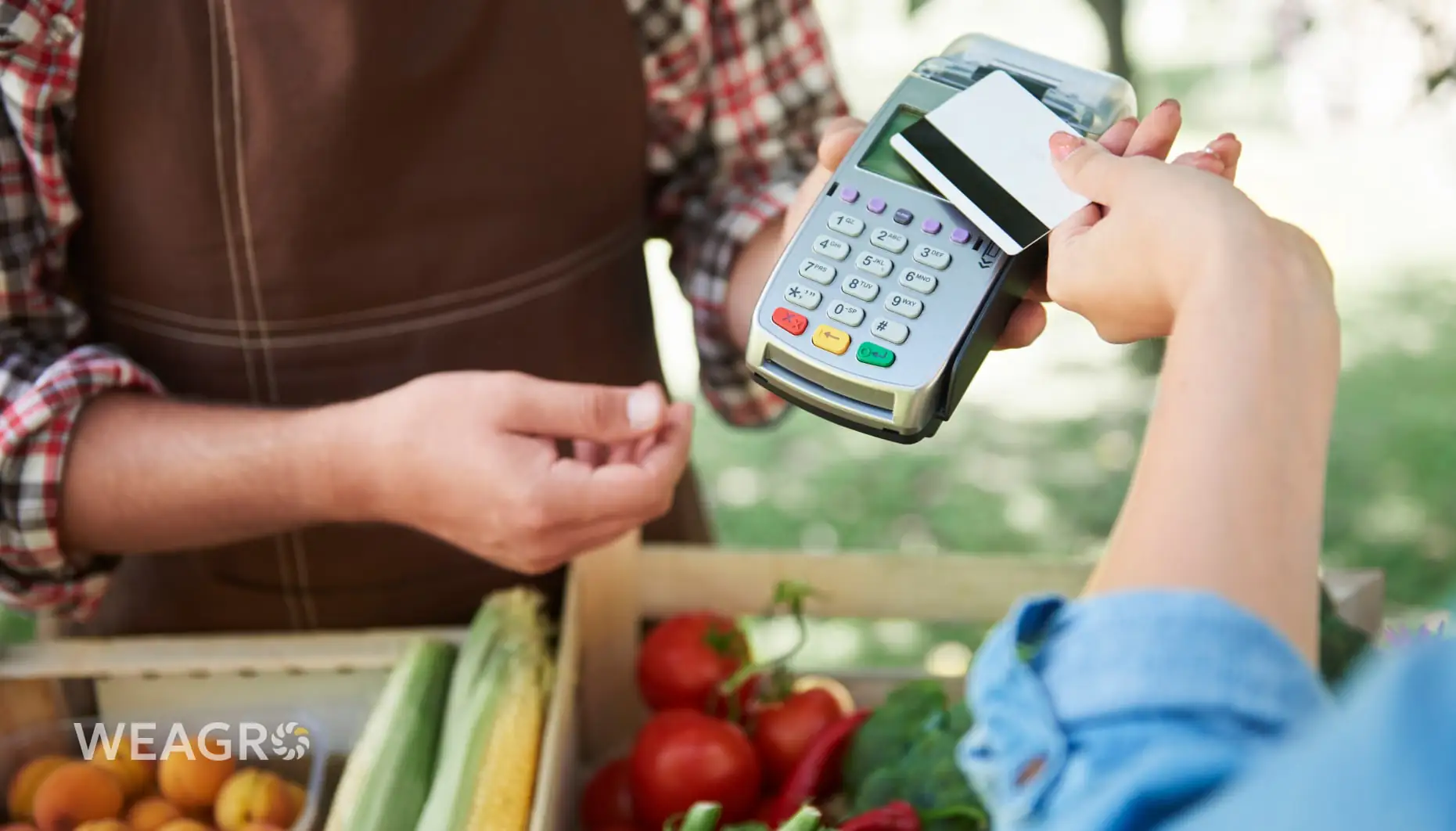 Касові розриви в агробізнесі: просте пояснення і реальні рішення