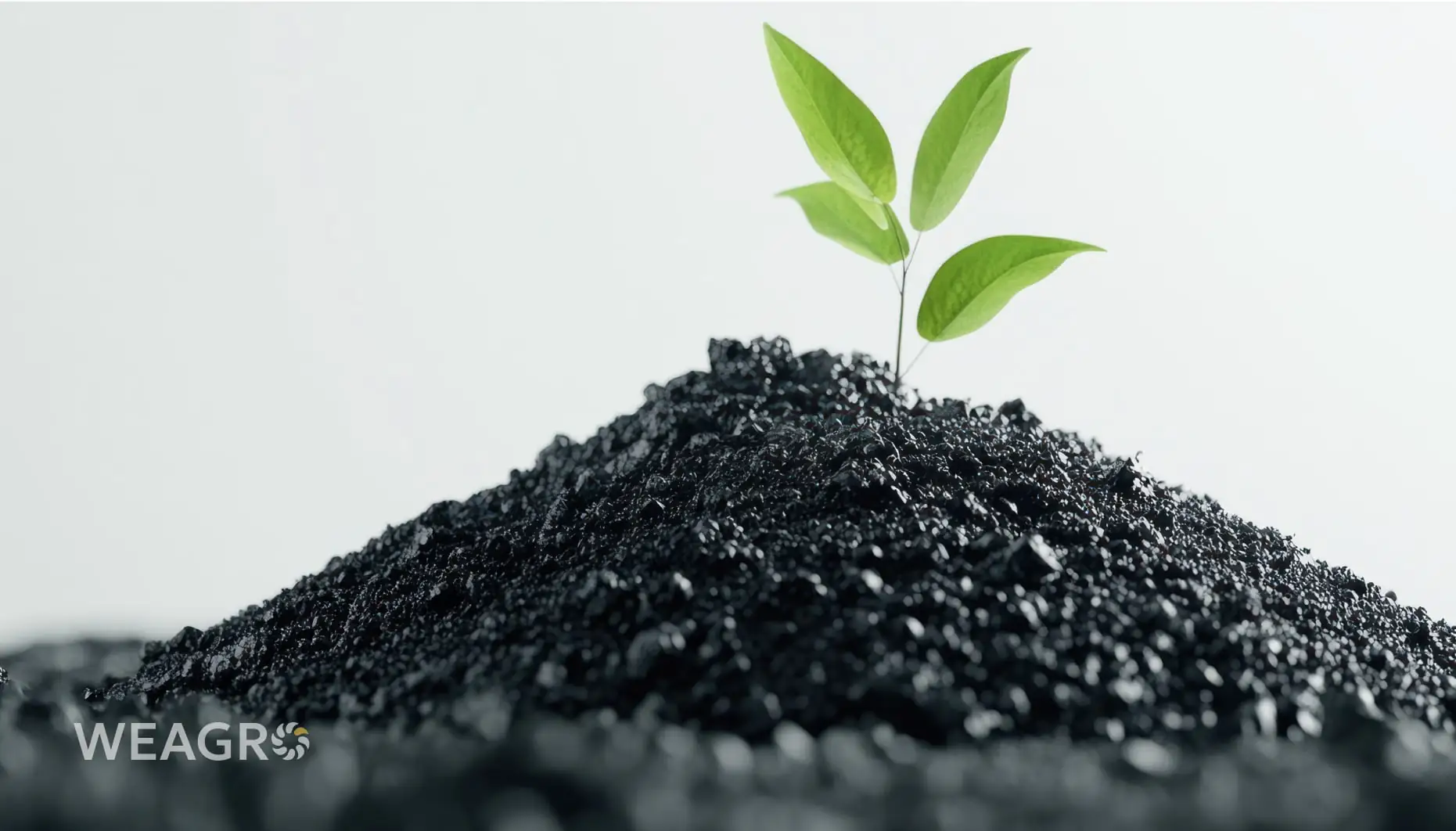 Хто купує аграрні вуглецеві кредити і як фермеру знайти свого покупця