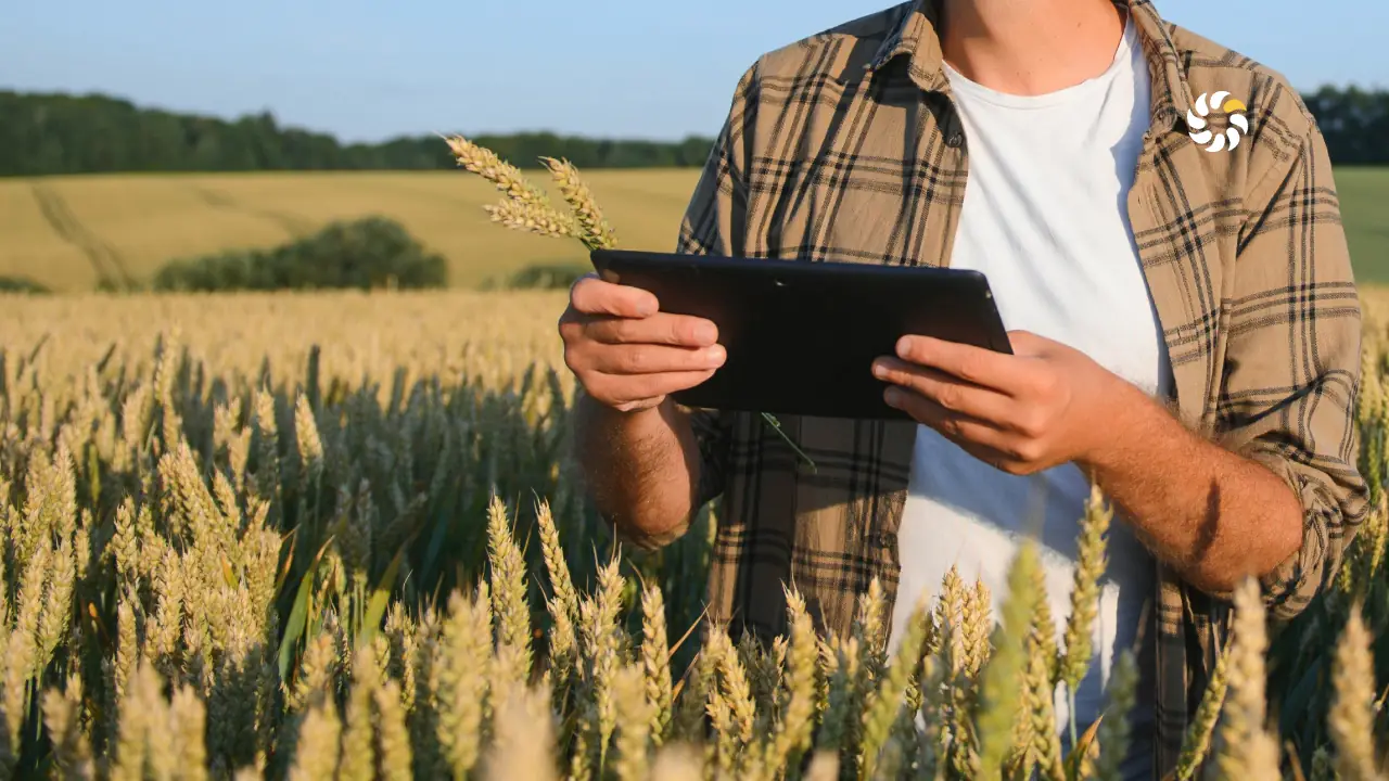 Від майбутнього врожаю до фінансування: Activitis і WEAGRO тестують аграрну ноту